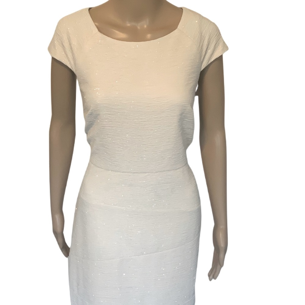 Champagne AGB Shimmer Sheath Dress Size 10